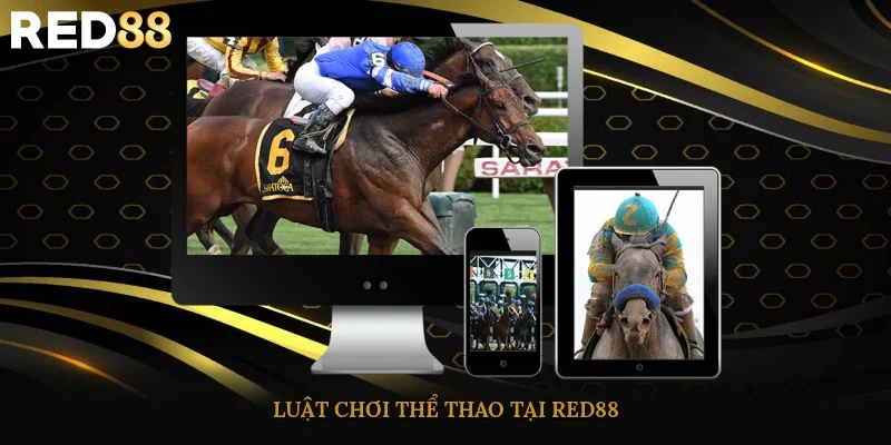 Luật chơi thể thao tại Red88