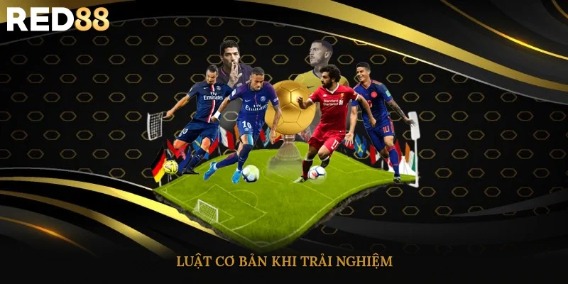 Luật cơ bản khi trải nghiệm