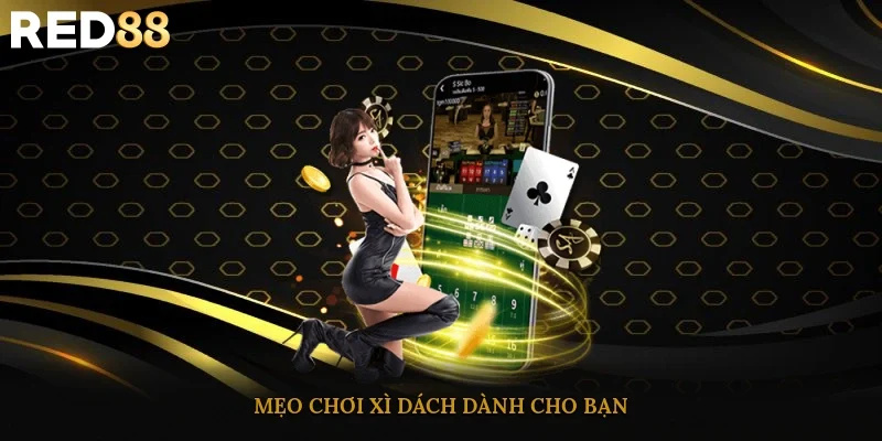 Mẹo chơi xì dách dành cho bạn