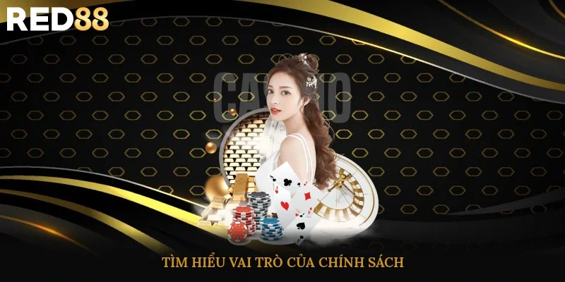 Tìm hiểu vai trò của chính sách