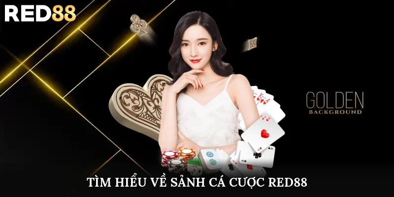 Tìm hiểu về sảnh cá cược RED88
