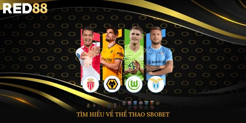 Tìm hiểu về thể thao Sbobet