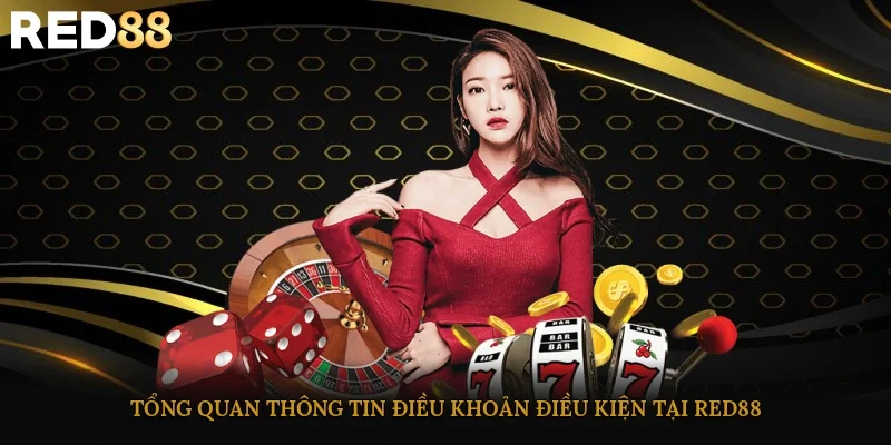 Tổng quan thông tin điều khoản điều kiện tại RED88